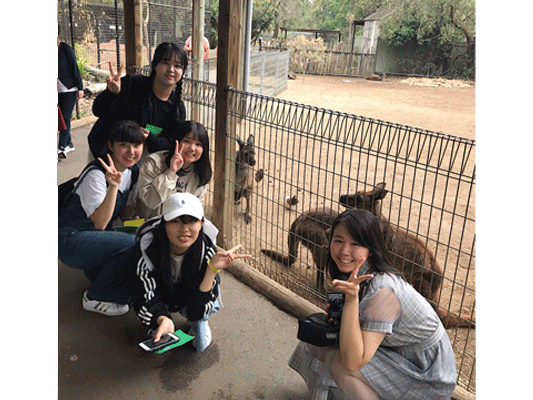 【オーストラリア修学旅行4日目　Aグループ動物園】Aグループは午前中、フェザーデール動物園見学へ行きました。ウォンバットにクアッカワラビー、カンガルーが特に可愛かったようです。生徒達は動物達と近くで触れ合えたことが、日本にはない体験で嬉しかったと話していました。