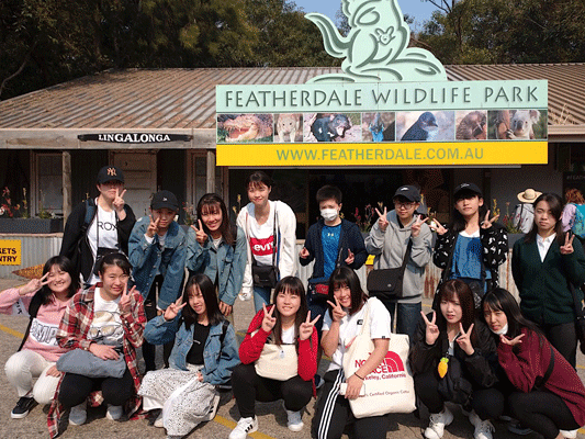 【オーストラリア修学旅行2日目　動物園】Bグループはフェザーデール動物園へ行きました。カンガルーやワラビーなどとふれあいました。ワニの巨大さにビックリしていました。コアラも間近で見れて生徒達は喜んでいました。