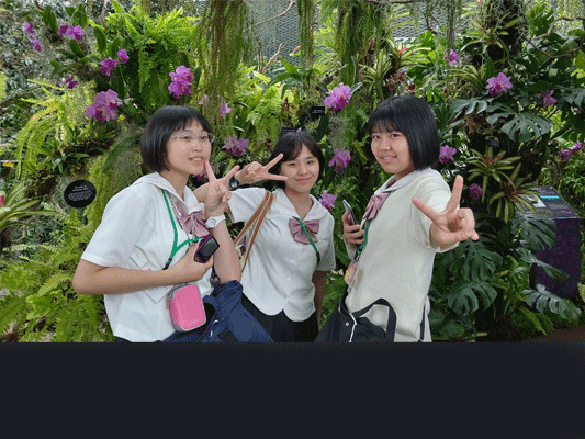 【シンガポール修学旅行3日目ガーデンズバイザベイ】館内には南国のたくさんの植物がありました。